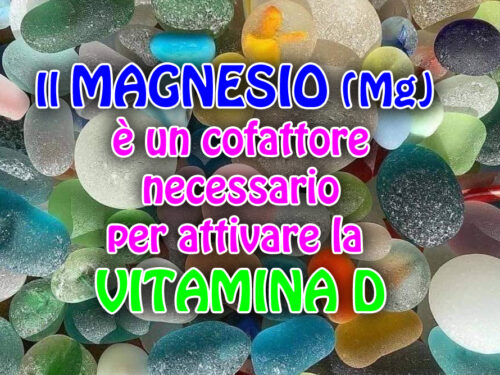 L’integrazione di Magnesio SECONDO COIMBRAPer l’attivazione della vitamina D